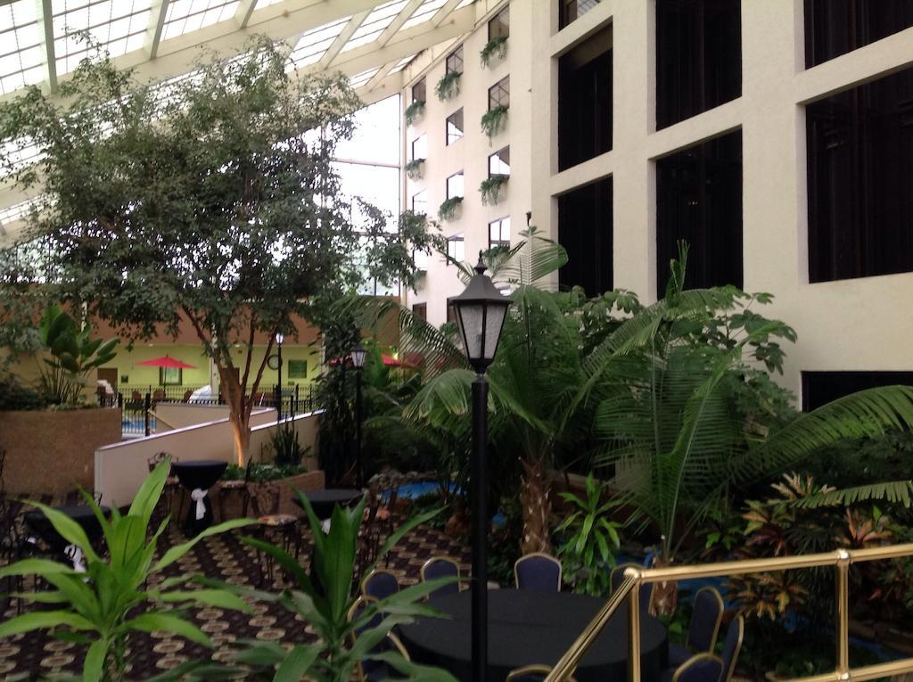 Wyndham Garden Amarillo Hotel Exterior foto